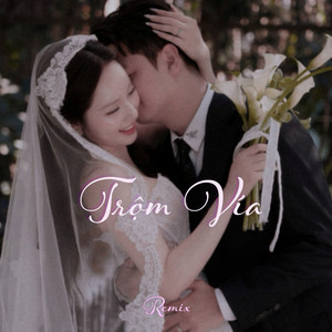 DK Media - Trộm Vía (Remix)
