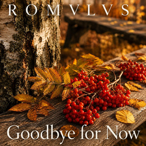 Goodbye for Now by ROMVLVS