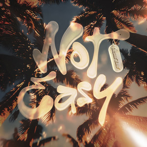 Not Easy by Jesse Iris