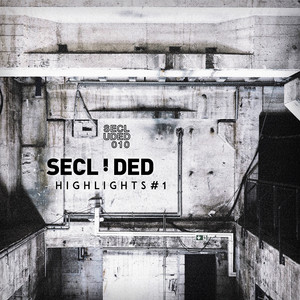 Functional - Rolando Remix by Secluded, Rolando