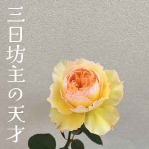 三日坊主の天才 by 渓