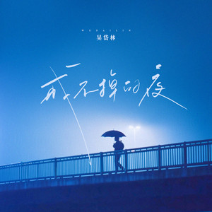 Dailin Wu - 戒不掉的夜