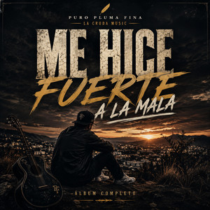 Mañana Será Otro Día by Pluma Fina La Cruda Music