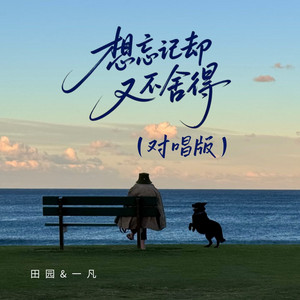 想忘记却又不舍得 - 对唱版 by 田园, 一凡