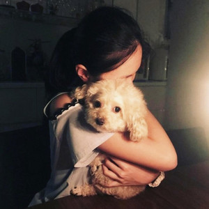 Chloe Fu - Nothing's Gonna Change My Love for You