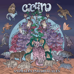 Venus by Cochino