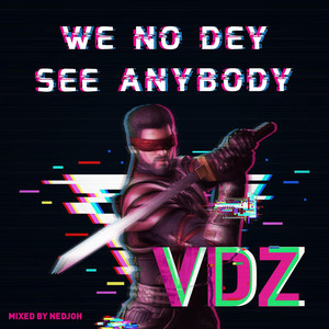 VDZ artist photo