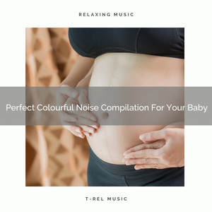 Perfect Colourful Noise Compilation For Your Baby album