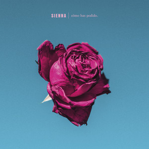 cómo has podido by Sienna
