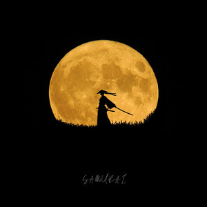 Samurai by Modulation Sounds