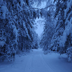 Winter by SXZDU, dec