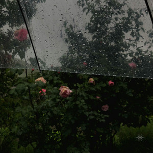 summer rain by I'm flying