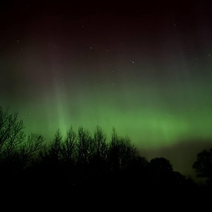 MIRELL - sa ei värviks seda värvi