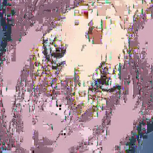 dxm by kon, 50cal