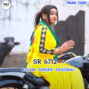 Aslam Singer SR 6712 by FAIJAL MEWATI VLOG, Aslam Singer Deadwal, Aslam Singer Zamidar