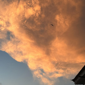 AlexgReleased - I Wait For You.