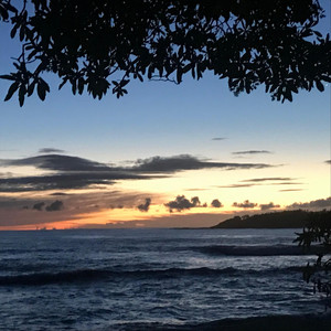 Luis Steinbeck - Kauai Birds Sound (Live)