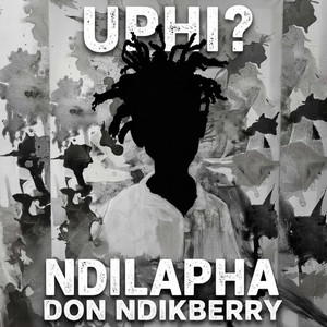 Uphi? Ndilapha by Don Ndikberry, Vuyorido