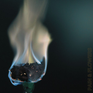 Бодя DANDS — PAIN&FLOWERS