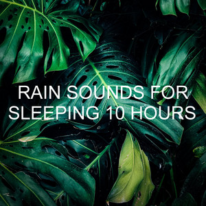 Rain Sounds for Sleeping 10 Hours album