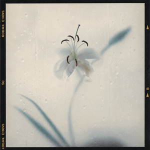 Organic Motion by T.Check, Zhen
