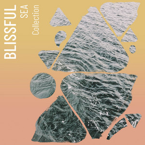 !!! Blissful Sea Collection !!! album
