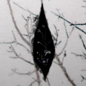 Seromora — Strattera (2026)