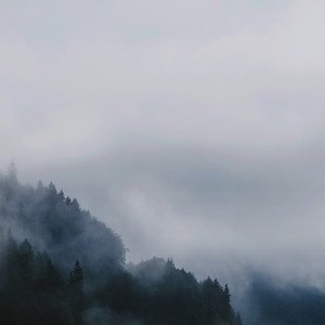 Silences — SVLBRD