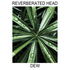 Dew by Reverberated Head