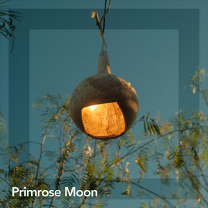 Loving Calm by Primrose Moon