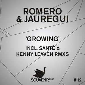 Growing - Original Mix by Romero, Jauregui