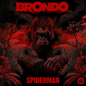 Spiderman by Brondo