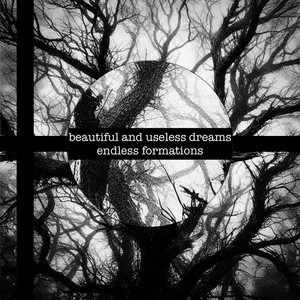 beautiful and useless dreams — endless formations