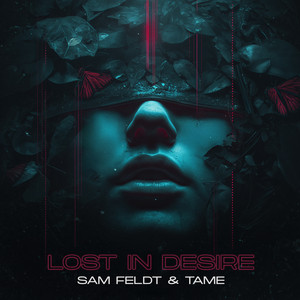 Lost in Desire by Sam Feldt, TAME
