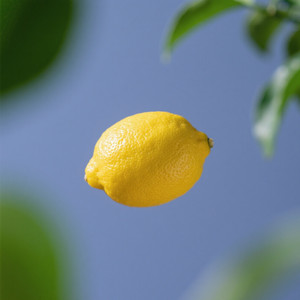 Sour Like a Lemon by NewKidd