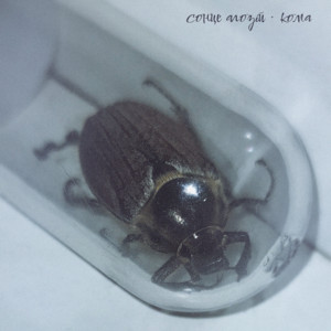 Сонце Алозій — Кома