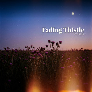 Fading Thistle by Aveniós