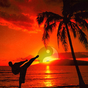 Soulcoholic — Don't Mess With My Dojo