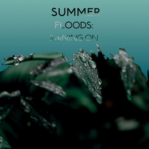 zZz Summer Floods: Raining on the Headland zZz album