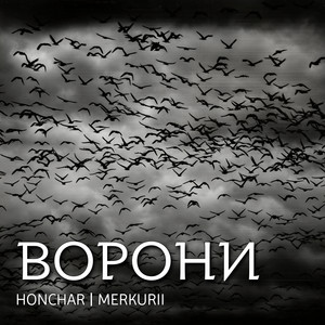 Обкладинка: Ворони