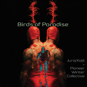 Birds of Paradise — Juraj Kojs