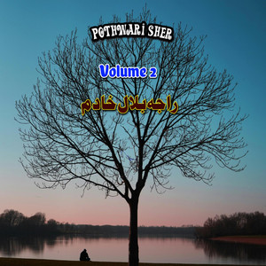 Raja Bilal Khadim - Aj Dil Kuj Bara Bechain Pothwari Sher