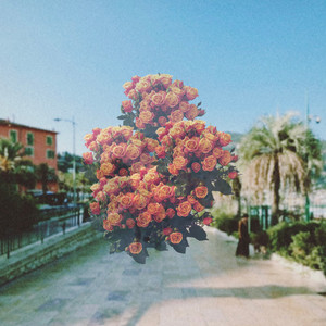 Bouquet by Racasse