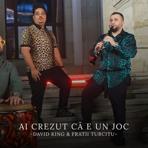 David King & Fratii Turcitu - Ai crezut ca e un joc
