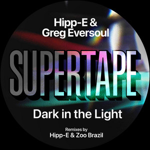 Dark In the Light cover art
