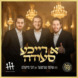 A Lavish Dinner with Shloime Gertner & Dovy Meisels