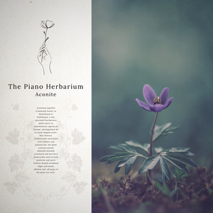 Aconite by The Piano Herbarium