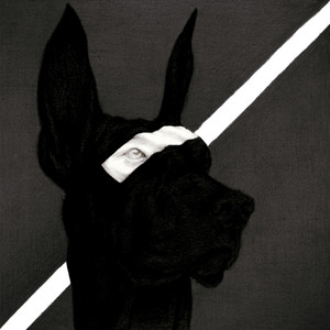 DOBERMAN by Liv Oddman