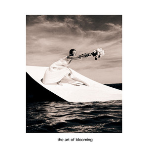 The Art Of Blooming by Rem Rebuzzi