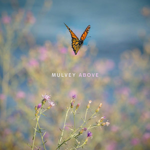 The Mist by MULVEY